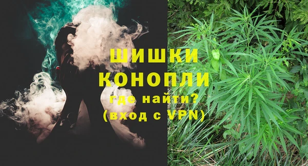 трава Новокубанск