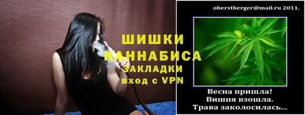 стафф Новодвинск