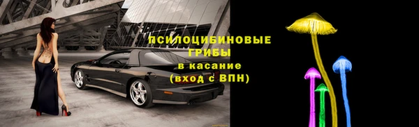 трава Новокубанск
