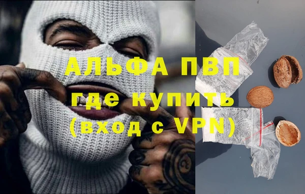 стафф Новодвинск