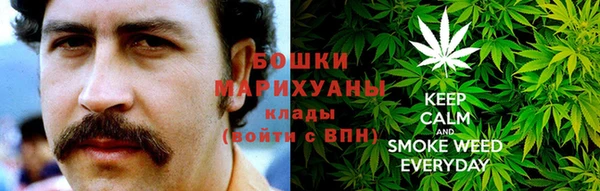 стафф Новодвинск