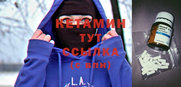 стафф Новодвинск